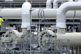 Các đường ống trong dự án đường ống dẫn khí đốt Nord Stream 2 ở Lubmin (Đức) ngày 15-2.