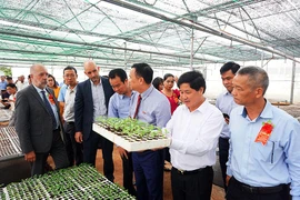 Chính quyền tỉnh Gia Lai đang giới thiệu mô hình nông nghiệp công nghệ cao tại huyện Mang Yang tới các nhà đầu tư. 