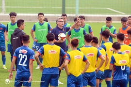 Các đội tuyển tập trung dưới thời HLV Troussier.