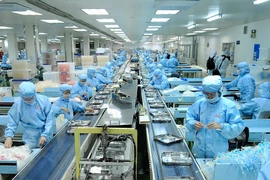 Hoạt động sản xuất tại một công ty trong Khu Chế xuất Tân Thuận, quận 7, TP.HCM.