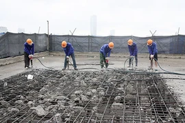 Tòa nhà 8B Lê Trực: 1 tháng nữa sẽ 'cắt ngọn' xong tầng 19