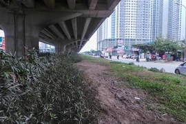 Hà Nội đề xuất đỗ xe gầm cầu, xén dải phân cách