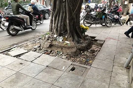 Sai phạm lát đá vỉa hè: Hàng loạt cán bộ bị xử lý