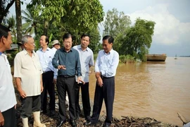 Lũ đầu nguồn ĐBSCL bất thường hơn mọi năm