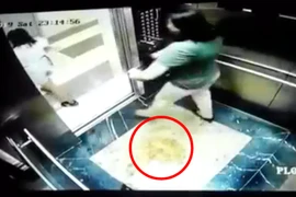 2 nữ khách che camera để 'tè' trong thang máy chung cư