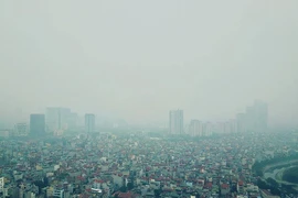 Bộ Tư pháp lên tiếng về dùng số liệu cũ trong báo cáo gửi QH