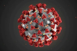 Hà Nội sẵn sàng ứng phó với virus Corona