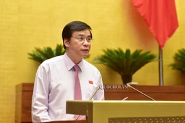 Năm 2021 Quốc hội sẽ không giám sát chuyên đề