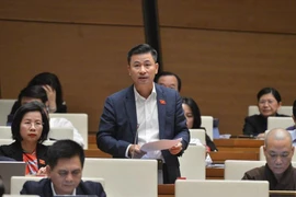 Đề xuất cho tư nhân tham gia đầu tư vào đường sắt đô thị 