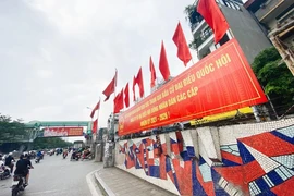 Tổng Bí thư ứng cử ĐBQH tại Ba Đình, Đống Đa, Hai Bà Trưng