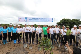 Bộ trưởng TN&MT Trần Hồng Hà trồng cây tại rừng ngập mặn Đồng Rui, Tiên Yên, Quảng Ninh