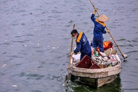 Cá chết ở hồ Tây