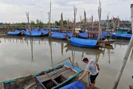 Ngư dân Nam Định: Kinh nghiệm đi biển cho thấy bão số 3 rất lớn, có thể gây lốc xoáy...