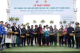 Bộ TN&MT phát động Tết trồng cây tại rừng ngập mặn của tỉnh Thái Bình