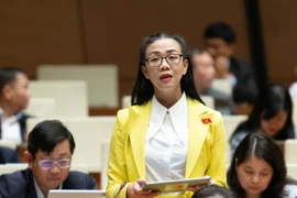 Đại biểu đề nghị quản lý chặt tài nguyên đất hiếm, tránh nguy cơ ô nhiễm phóng xạ