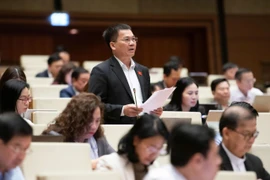 Đại biểu Quốc hội lo ngại về tội phạm mạng và an toàn thực phẩm dịp Tết