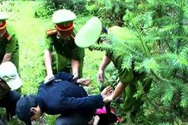 Phá đường dây ma túy 'khủng', thu giữ 10 bánh heroin