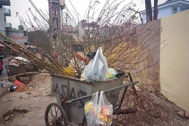 Chùm ảnh báo hiệu 'Tết đã hết!'