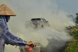 Hà Nội mịt mù khói vì nông dân đốt rơm