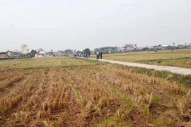 Sát hại nhân tình rồi phi tang dưới cống nước