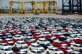 Việt Nam nhập khẩu hơn 3.000 ô tô nguyên chiếc trong 1 tuần