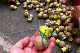 VKS kháng nghị tăng án tù 2 bị cáo người Trung Quốc