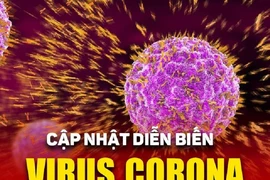Việt Nam xuất hiện ca nhiễm virus Corona thứ 10