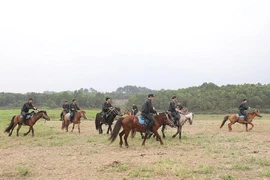  Hơn 100 con ngựa của kỵ binh Bộ Công an