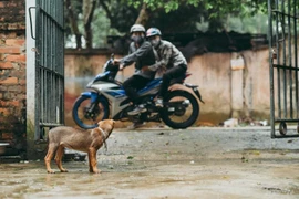 Ảnh minh họa. Nguồn: Internet