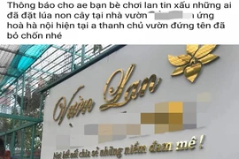 Chủ vườn lan đột biến nghi ‘ôm’ 11 tỉ đồng bỏ trốn