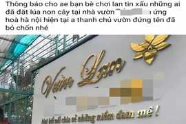 Chủ vườn lan đột biến không 'ôm 11 tỉ đồng rồi bỏ trốn'