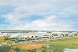 Thanh tra kết luận việc sử dụng đất tại các Khu công nghiệp ở TP.HCM