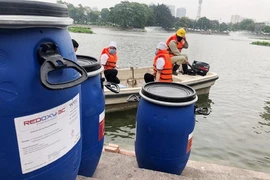 Vụ chế phẩm Redoxy 3C và ông Nguyễn Đức Chung: 167 tỉ đổ xuống ao hồ