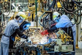 Đây là thời điểm thú vị để kinh doanh tại Việt Nam