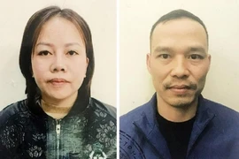 Đường dây môi giới mang thai hộ giá 700 triệu đồng