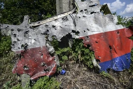 Nga: Chứng cứ của Mỹ về MH17 toàn dựa trên mạng xã hội