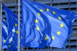 EU mong muốn các quan hệ "đối tác cửa ngõ toàn cầu" sẽ giúp gia tăng tính bền vững và thức đẩy các giá trị châu Âu. Ảnh: NIKKEI ASIA