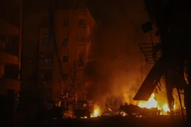 Syria: Phiến quân chiếm TP Aleppo, tỉnh Idlib, tiếp tục hướng về phía nam