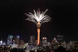 Màn pháo hoa và trình diễn ánh sáng chào đón năm mới 2025 tại TP Auckland (New Zealand). Nguồn: 1NEWS.CO.NZ