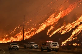 Do biến đổi khí hậu, nguy cơ cháy rừng ở California đã tăng gần gấp rưỡi