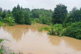 Người dân lòng hồ thủy điện Đắk Psi bị ảnh hưởng