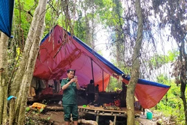 Thông tin khai thác vàng trong vườn quốc gia là hiểu lầm