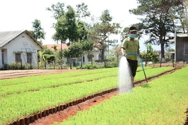 Thanh tra sai phạm tại Ban Quản lý rừng phòng hộ Đắk Đoa