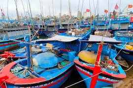 Hoài Nhơn, vùng bão đổ bộ sẵn sàng ứng phó bão Noru