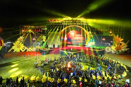 Lung linh sắc màu vũ khúc hoa dã quỳ - núi lửa Chư Đang Ya