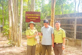 Bàn giao khỉ đuôi dài quý hiếm cho Vườn Quốc gia Chư Mom Ray 