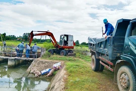 Chủ tịch xã gửi thư xin lỗi dân vì tình trạng vứt xác heo bừa bãi gây ô nhiễm