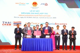 Doanh nghiệp Thái Lan đầu tư hơn 100 triệu USD vào những lĩnh vực nào ở Gia Lai? 