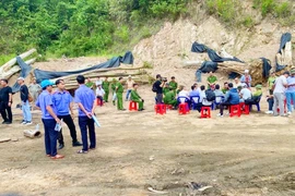 Cựu chi cục trưởng Chi cục Kiểm lâm Gia Lai bị buộc thôi việc