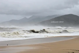 Bão số 13 ở Gia Lai: Đã xảy ra hư hỏng tài sản, có người bị thương 